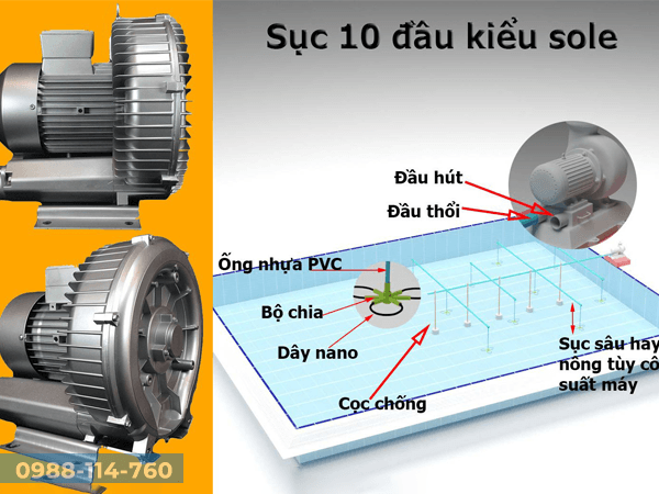 Ứng Dụng Máy Thổi Khí Veratti GB-4000s
