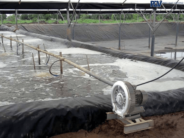 Máy Thổi Khí Veratti GB-1500 Sục Khí Ao