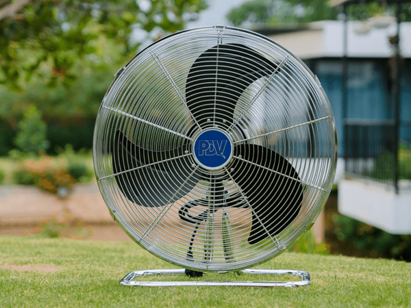 Ảnh Thực Tến Quạt Chân Quỳ