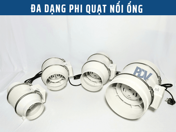da-dang-phi-quat-noi-ong