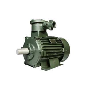 Động cơ phòng nổ VIHEM