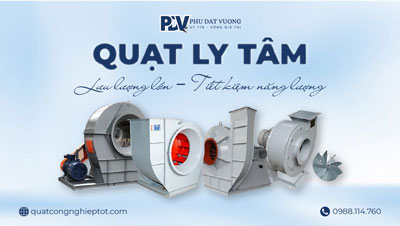 banner-quat-ly-tam-phudatvuong