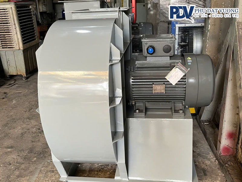 cau-tao-cua-quat-ly-tam-phudatvuong