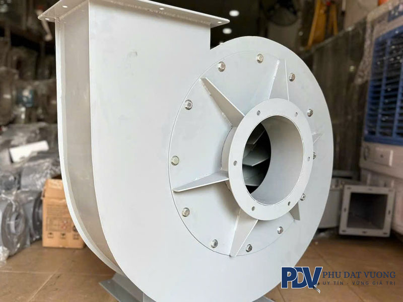 mot-so-cau-hoi-thuong-gap-ve-quat-ly-tam-phudatvuong