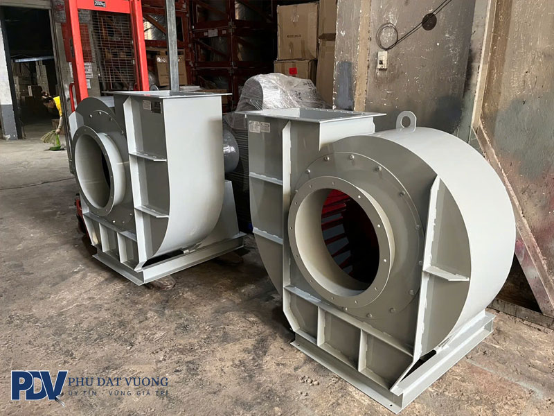 quat-ly-tam-la-gi-phudatvuong