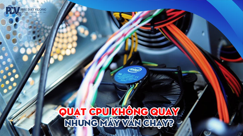 Quat-cpu-khong-quay-nhung-may-van-chay-nguyen-nhan-la-gi-phudatvuong