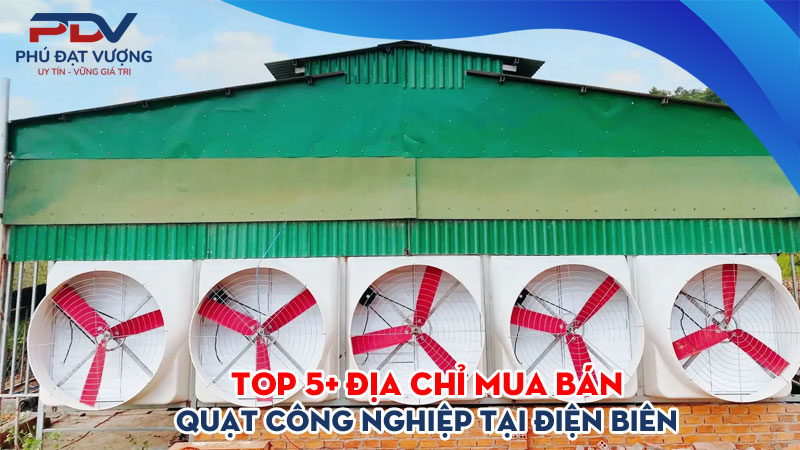 Top-5-dia-chi-mua-ban-quat-cong-nghiep-tai-dien-bien-gia-re-phudatvuong